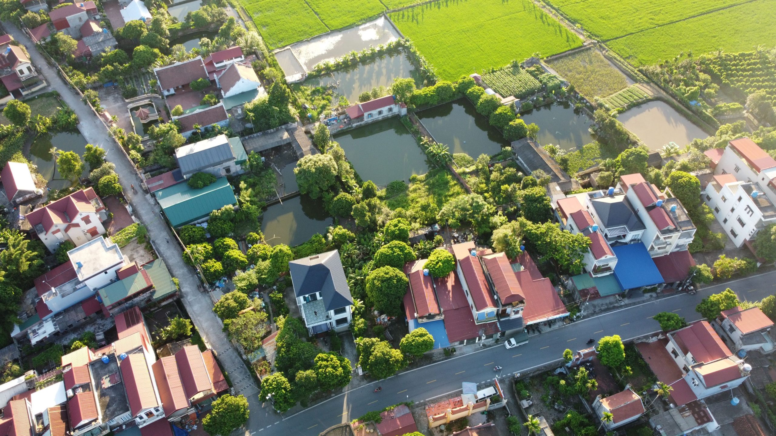 Aerial view of a rural village with lush greenery and ponds in Southeast Asia